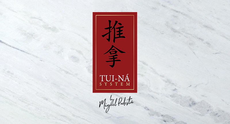 Licenciamento Tui-ná System by Miguel Podestá®